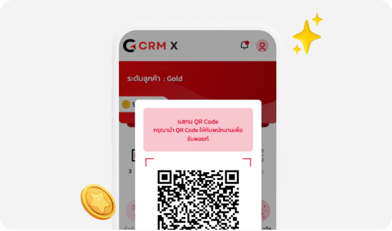 img crm x 3